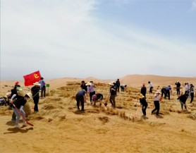 集团员工前往“八步沙”压沙