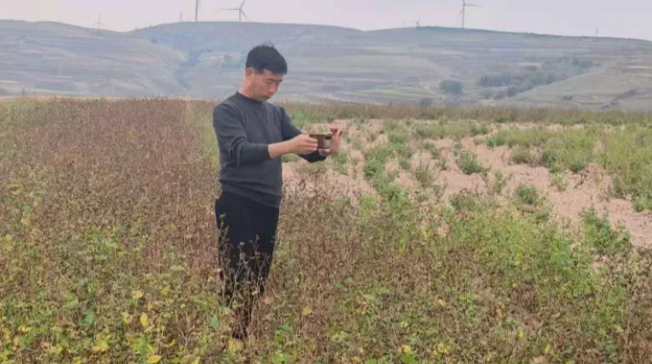 甘肃文旅集团驻村工作队协助帮扶村开展耕地云图斑核查工作